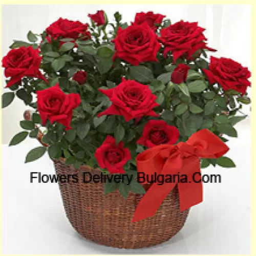 Un bel arrangement de 19 roses rouges avec des remplissages saisonniers