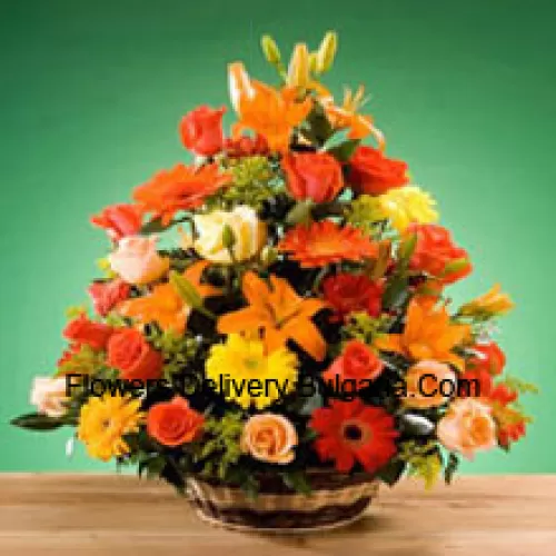 Basket Of Assorted Flowers Including Roses and Gerberas Of Assorted Color. This Basket Also Has Seasonal Fillers