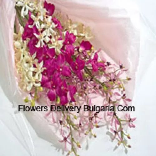 Bouquet d'orchidées