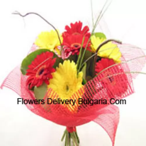 Bouquet de 11 Gerberas de différentes couleurs