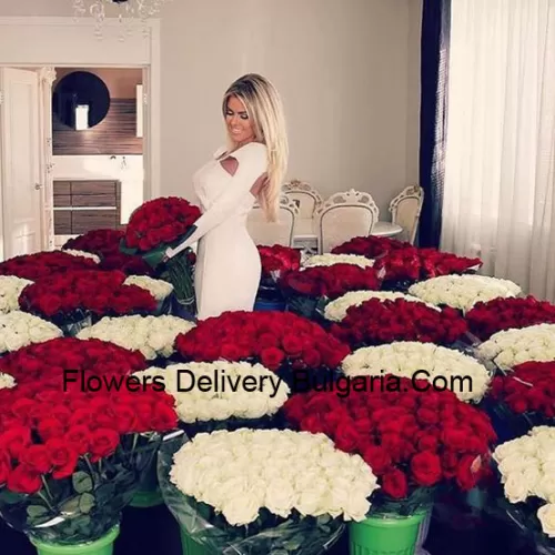 Our Room Full Of Roses Has Many Red And White Rose Arrangements - Total Number Of Roses In The Package Are 1501